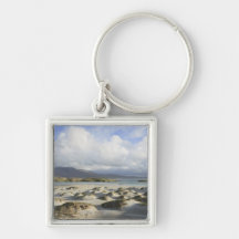 Het zilveren Strand van de Bundel Sleutel Hanger