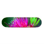 Het zoete Skateboard van het Meisje Girly van de L