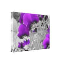 Het zwart-witte Effect van het Viooltje Gallerij Wrap Canvas