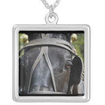 Het zwarte Ketting van het Paard van het Ontwerp E