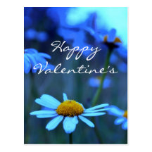 Heureuse Sainte-Valentin (marguerites des prés ble Carte Postale