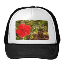 Hibicus Casquette De Camionneur