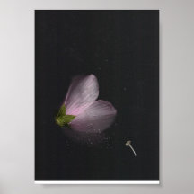 Hibiscus en Regen Print