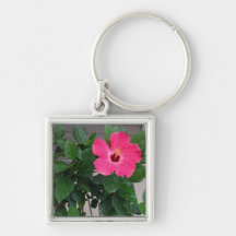 Hibiscus Sleutel Hangers