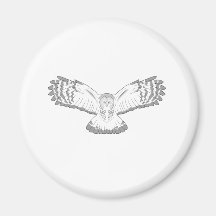 Hibou Aimants