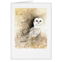 Hibou de grange cartes de vœux