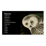 Hibou de Milou, John James Audubon Cartes De Visite Professionnelles