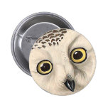 Hibou de Milou, John James Audubon Pin's