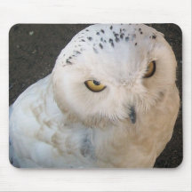 Hibou de Milou Tapis De Souris