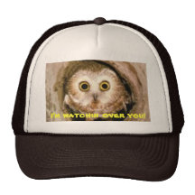 hibou de watchin casquettes