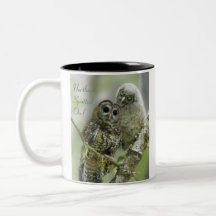 Hibou repéré du nord avec le jeune hibou mugs