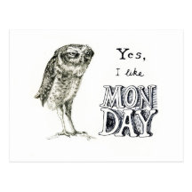 Hibou sarcastique carte postale