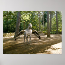 Hippogriff Affiche