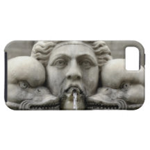 Historische Foutain iPhone 5 Case