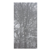 hiver carte avec photo