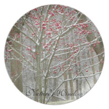 Hiver de la fenêtre de la nature/confusion de ress assiettes