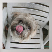 Hongerige Doggie Poster