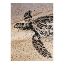 Honu - de Hawaiiaanse Schildpad van het Zee Aankondigingen