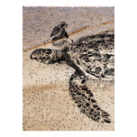 Honu - tortue de mer hawaïenne bristols personnalisés