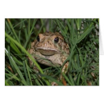 Hoppy Verjaardag Kaart
