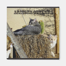 Hors-la-loi de l'Arizona Aimants