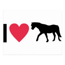 horse carte postale
