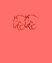 horse t-shirt