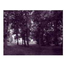 Hout, Bute Park Cardiff - gestemd Paars Wens Kaart