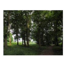 Hout, Bute Park Cardiff Wens Kaarten