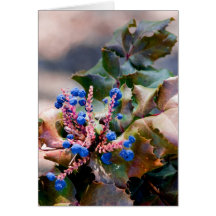 Houx de raisin carte de vœux