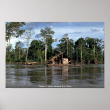 Huis op de hogere Rivier van Amazonië, Peru Print