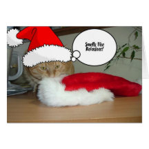 Humour de Noël Cartes