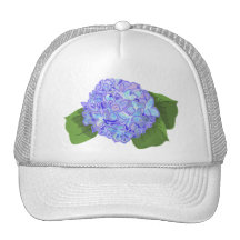 hydrangea hortensia mesh pet