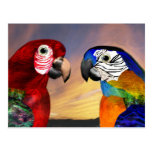 HYPER PAPEGAAIEN/RODE EN BLAUWE ARONSKELKEN WENS KAART