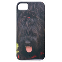 I posséder cette jeep coque iPhone 5