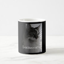 Icanhazcoffee Tasse À Café