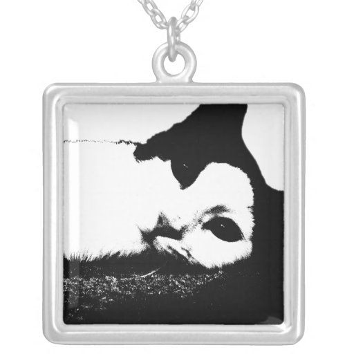 Ici vous regarde chat Neckla (noir et blanc) Collier