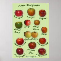 Identification d'Apple Affiche