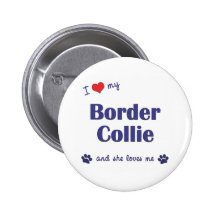 Ik houd van Mijn Border collie (Vrouwelijke Hond) Speldbutton