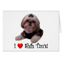 Ik houd van Shih Tzu Kaarten