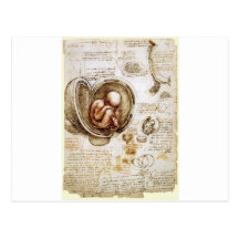 Il boit de Da Vinci Cartes Postales
