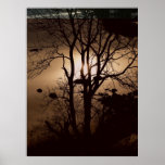 "Il ce plante des amours d'arbres d'autres près de Affiches