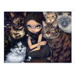 "Il est tout carte postale au sujet de chats"