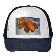 Illustration de feuille d'automne casquette