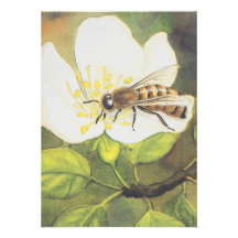 Illustration vintage : Abeille sur une fleur blanc Invitations