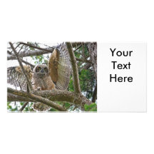 Image de hibou de bébé photocartes personnalisées