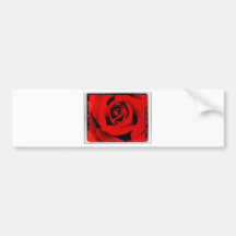 image.jpg bumpersticker
