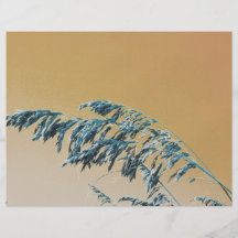 Image orange de ciel de Brown d'avoine bleue de me Prospectus