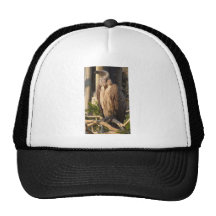 Images de l'Afrique du Sud Casquette