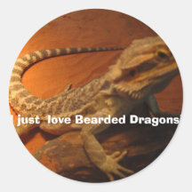 IMG_4705, j'aime juste les dragons barbus ! Autocollants Ronds